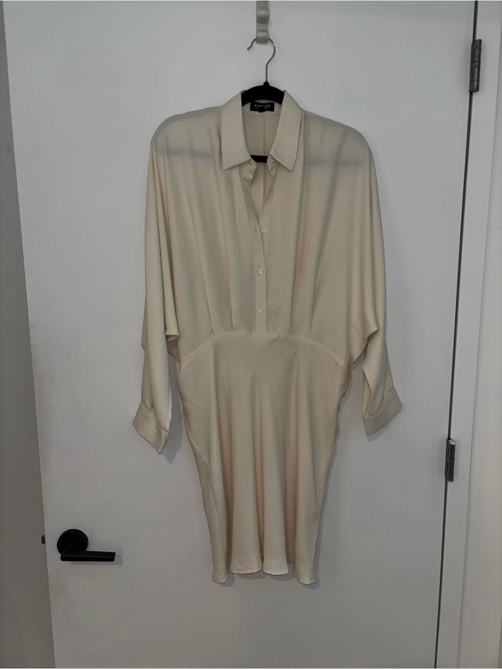 Express Ivory Button-Up Collar dress